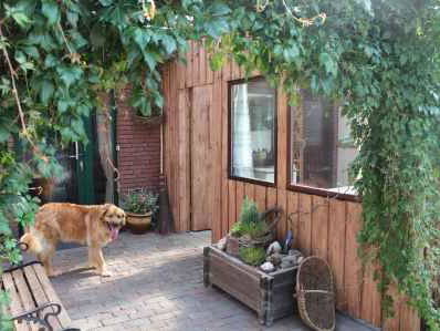 Bild 8 aus  Ferienhof Sengstaken