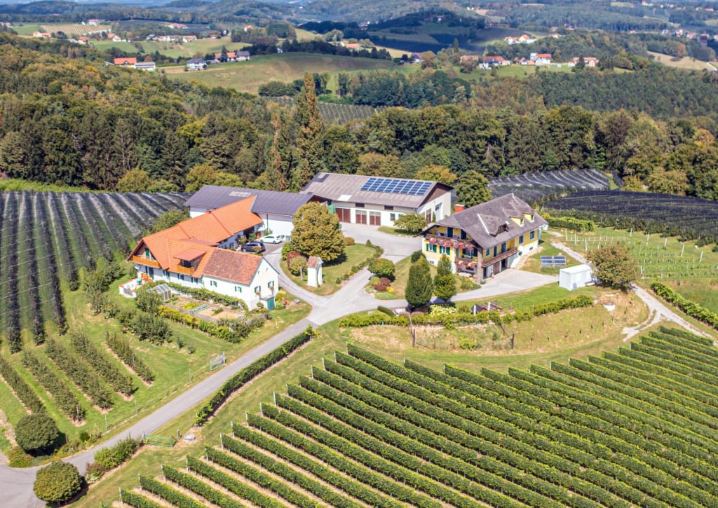 Brandl Obstbauernhof