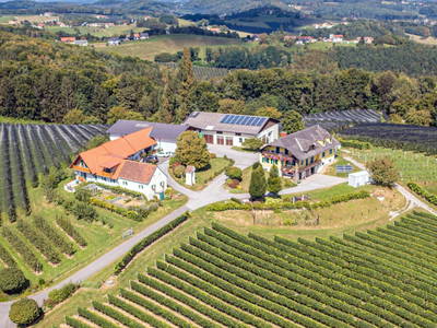 Bild 3 aus  Brandl Obstbauernhof 