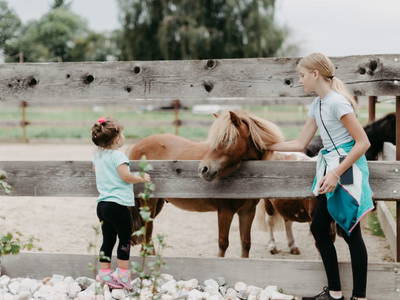 Bild 64 aus  Biohof Greflgut