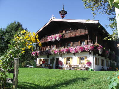 Bild 62 aus  Blattlbauer