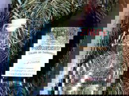 Bild 181 aus  Pürcherhof