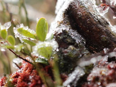 Bild 114 aus  Ablass