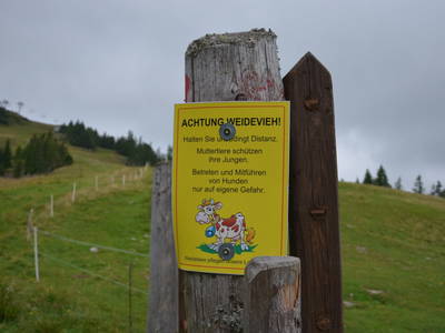 Bild 17 aus  Guglhütte