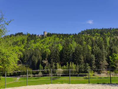 Bild 36 aus  Biohof Viertl