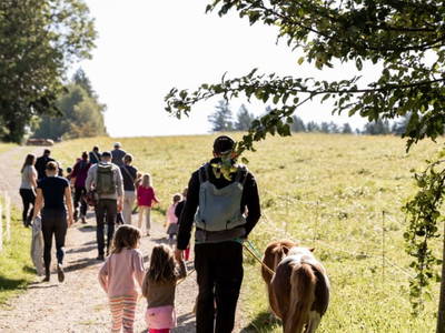 Bild 156 aus  Miniponyhof Wild