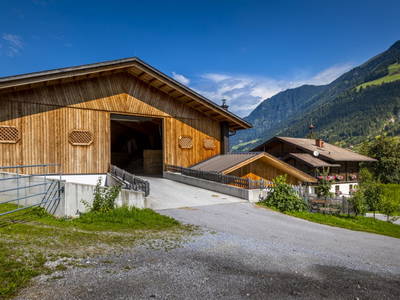 Bild 140 aus  Bio-Bauernhof Schweizerhof