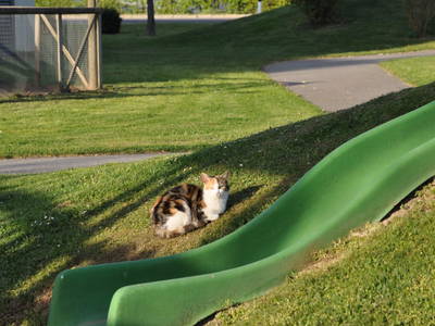 Bild 38 aus  Ferienwohnungen & Bungalows am Faaker See - Karglhof OG