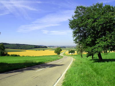 Bild 16 aus  Ferienhaus Schilz