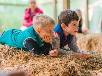 Bild 25 aus  Ferienhof Groth/ Hof Herzleuchten