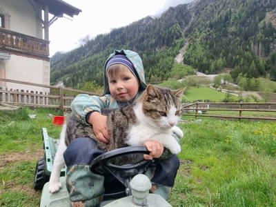 Bild 96 aus  Alfaierhof & Bergheimat