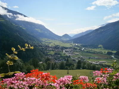 Bild 61 aus  Ranacherhof im Nationalpark der Hohen Tauern