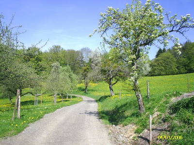 Bild 11 aus  Hermannshöhe