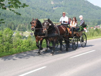 Bild 35 aus  Pfeiferhof