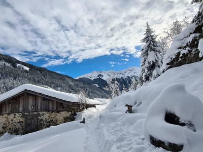 Bild 26 aus  Chalet Ursteinhütte, Almhütte Kelchsau