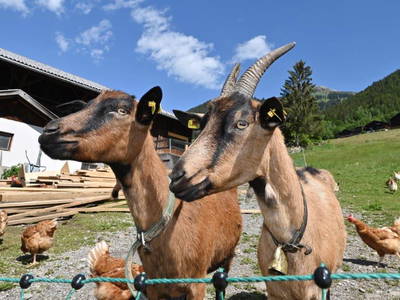 Bild 28 aus  Klosterhof Maria Hilf