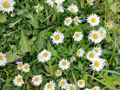 Bild 27 aus Gregerbauer