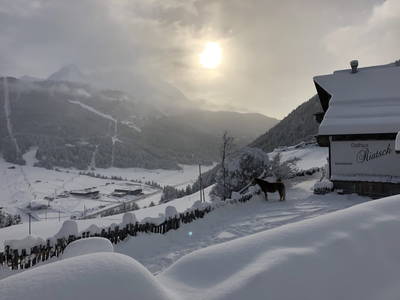 Bild 78 aus Riatschhof