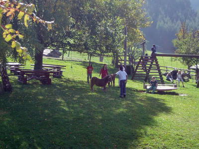 Bild 58 aus  Forellenhof