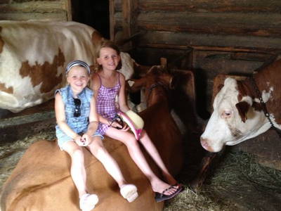 Bild 20 aus  Bäuerlicher Gästering Großarltal