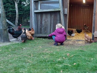 Bild 24 aus  Ferienhof Wegmann