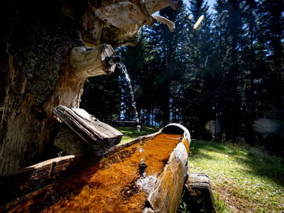 Bild 175 aus  Bischofhütten