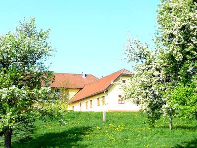 Bild 38 aus Blumentalhof