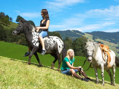 Bild 20 aus  Feriengut Hasenau