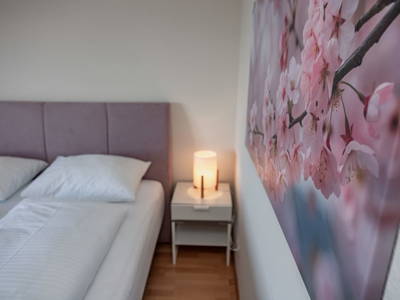 Bild 220 aus  Pleschinhof