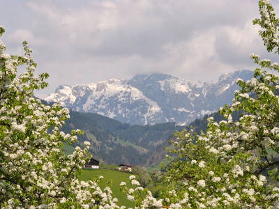 Bild 76 aus  Taxengut