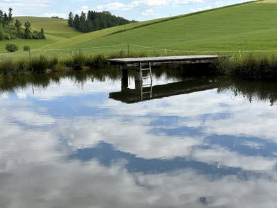 Bild 43 aus Am Ebnerhof