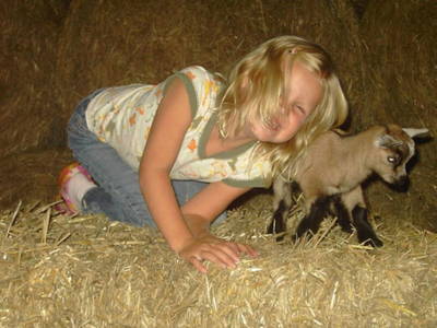 Bild 60 aus  Familienbauernhof Strassbauer