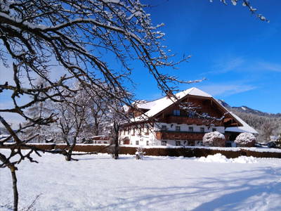 Bild 104 aus  Klinglerbauer