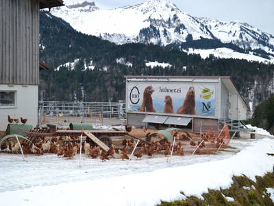 Bild 42 aus  Dorner Hof