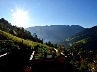 Bild 32 aus Bio Bauernhof Oberbenk