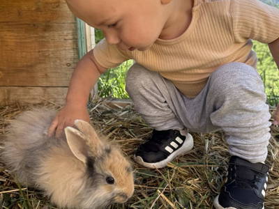 Bild 82 aus  Bio Bauernhof Oberbenk