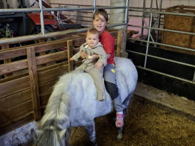 Bild 71 aus  Pferdehof Oberegg