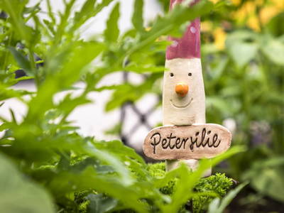 Bild 78 aus  Pointbauer