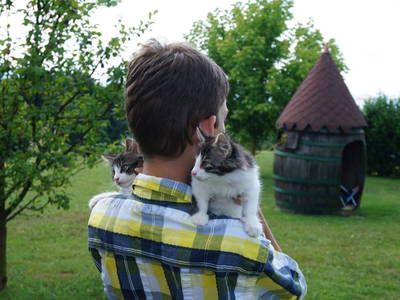 Bild 22 aus  Der Ofenmacherhof  Urlaub am Bauernhof