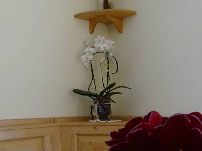 Bild 74 aus  Forstbauer