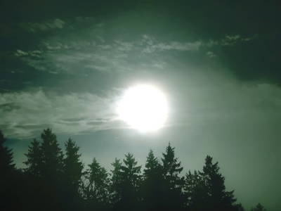 Bild 61 aus  Himmelbauer