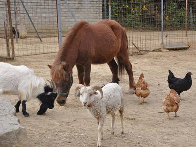 Bild 34 aus  Arkadenhof Flasch