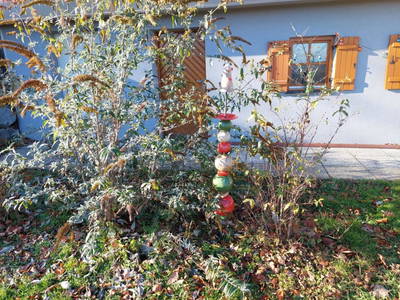 Bild 24 aus  Waldesruh