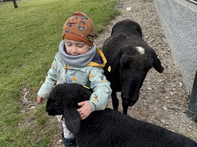 Bild 26 aus  S'Landhäuschen