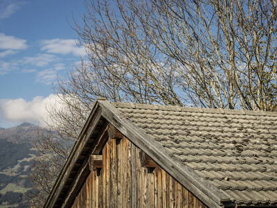 Bild 29 aus  Hanserhof-Ferienhaus