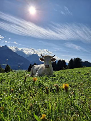 Hauserhof am Goldberg aus Dellach
