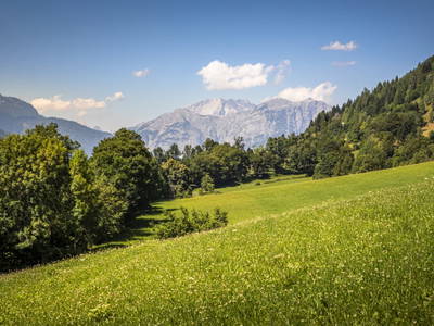 Bild 48 aus  Windischlehen