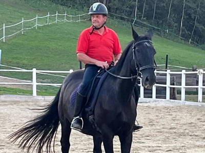 Bild 111 aus  Reiterhof Pfleger