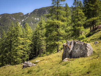 Bild 55 aus  Hintereggalm