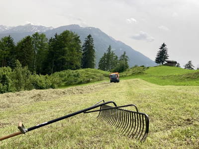 Bild 103 aus  Pirchachhof